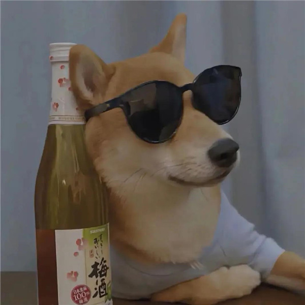 好看小众且搞怪的头像图片
