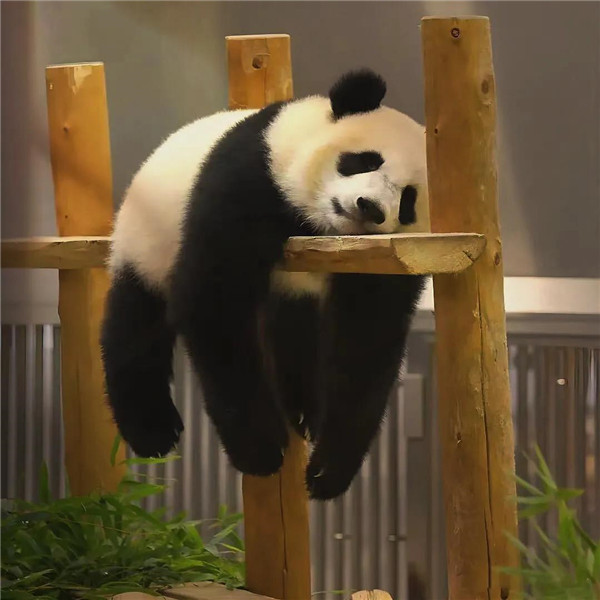 适合男生的优质头像图片