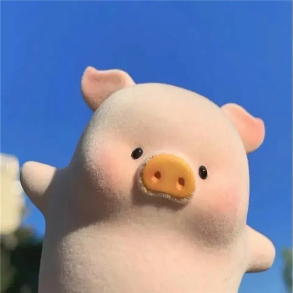 看起来很智障的头像图片