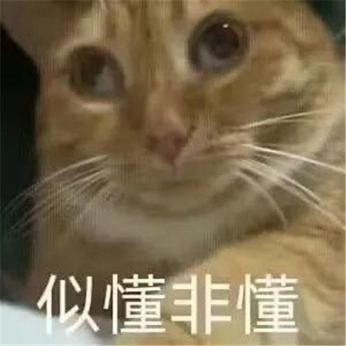 一看就无法委以重任的头像