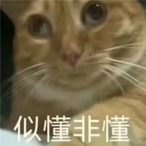 一看就无法委以重任的头像