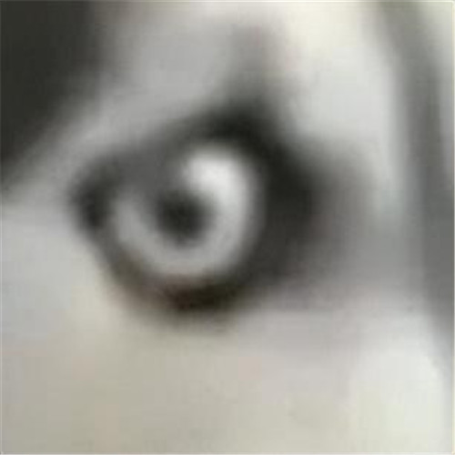 一看就无法委以重任的头像
