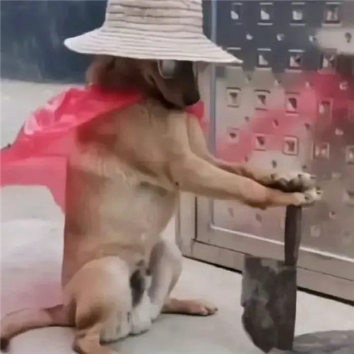 领导不放心的头像