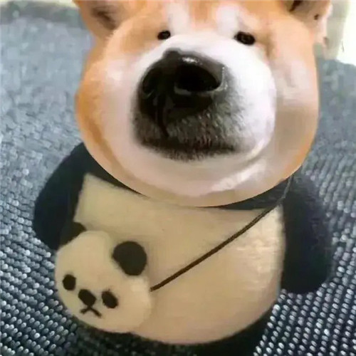 领导不放心的头像