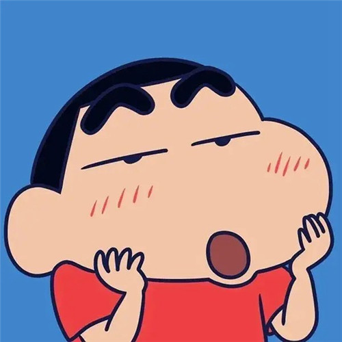 领导不放心的头像