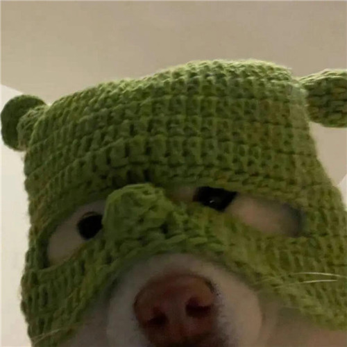 精神不太正常的头像