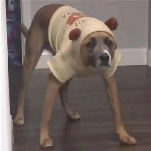 精神不太正常的头像