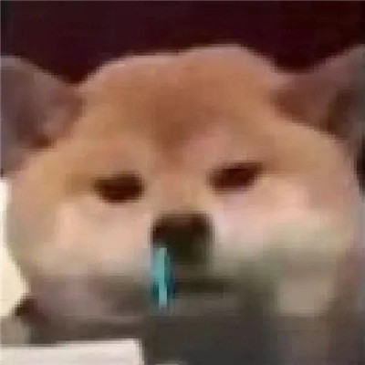 一看工作能力就不行的头像