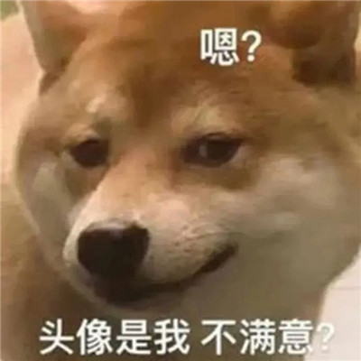领导不想找你干活的头像图片