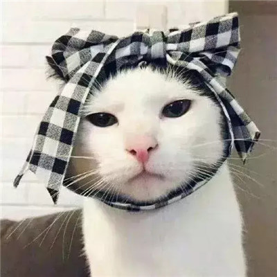 不靠谱的头像图片