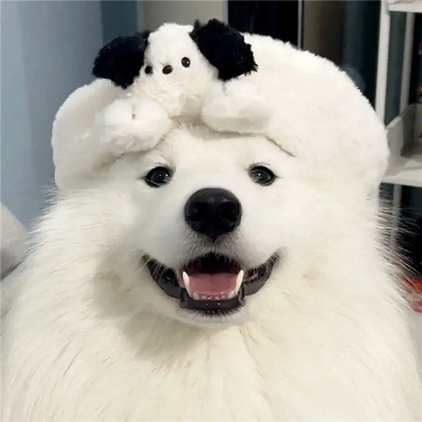 精选WeChat头像图片