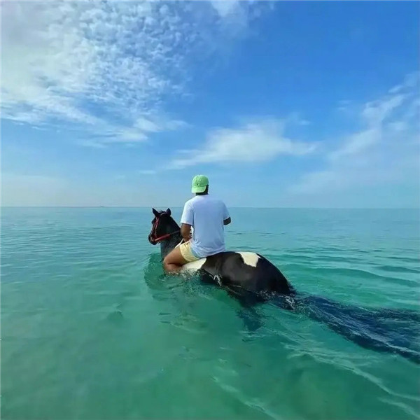 精选男士头像图片