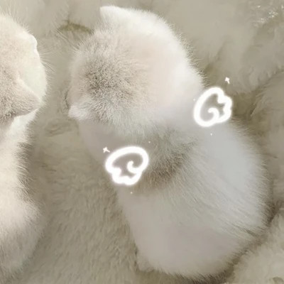 情侣头像大全