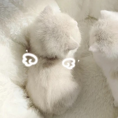 情侣头像大全