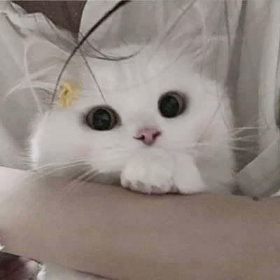 情侣头像