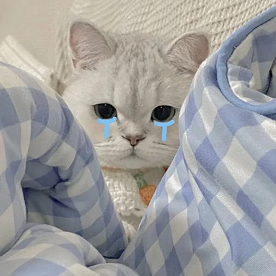 情侣头像
