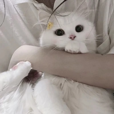 情侣头像