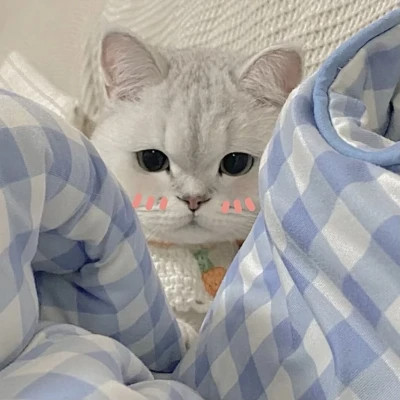 情侣头像