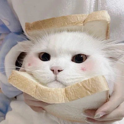 情侣头像