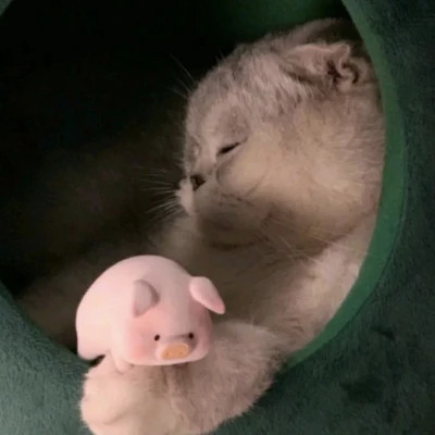 情侣头像