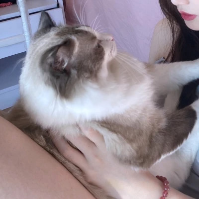 情侣头像