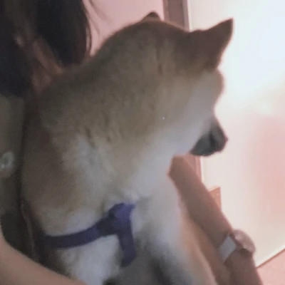 情侣头像