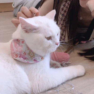 情侣头像