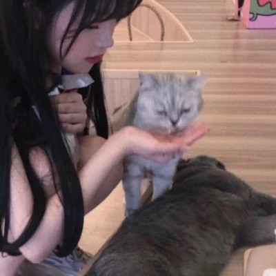 情侣头像
