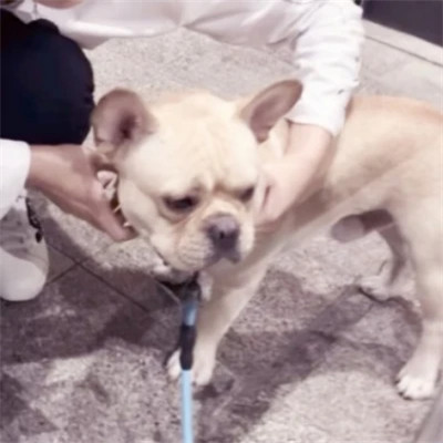 情侣头像