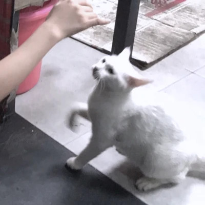 情侣头像