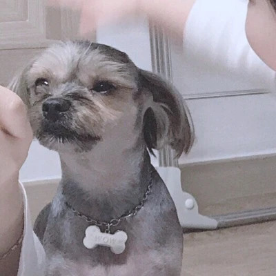 情侣头像