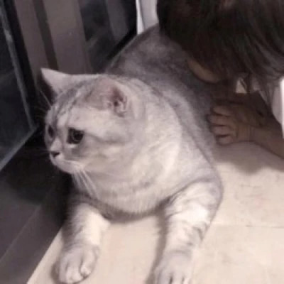 情侣头像