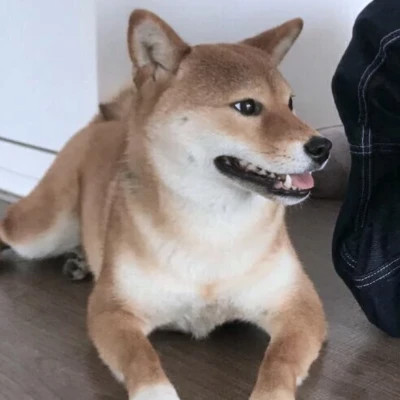情侣头像