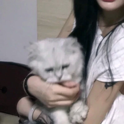 情侣头像