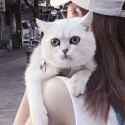 情侣头像