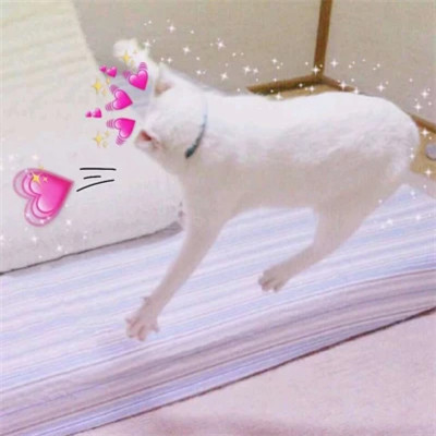 精选情侣头像