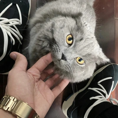 超酷男生头像