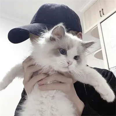 男生头像