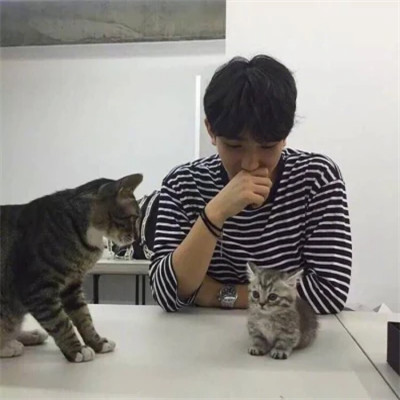 精选男生头像大全