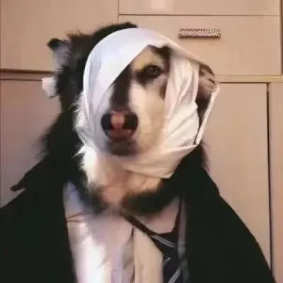 各具特色的微信男生头像