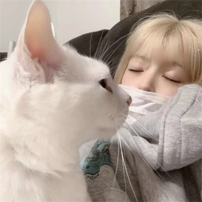 高质量女头