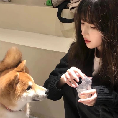 高质量女头