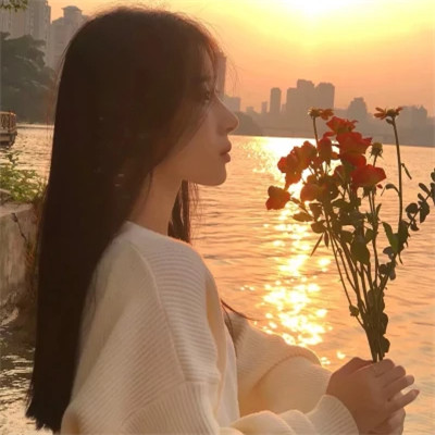 高质量女头