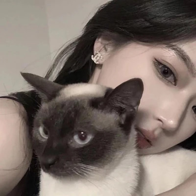 风格各异的女头