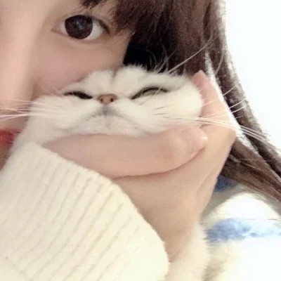 风格各异的女头