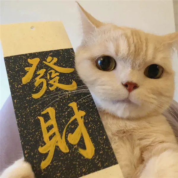 运气特别旺的女生爱用的头像图片