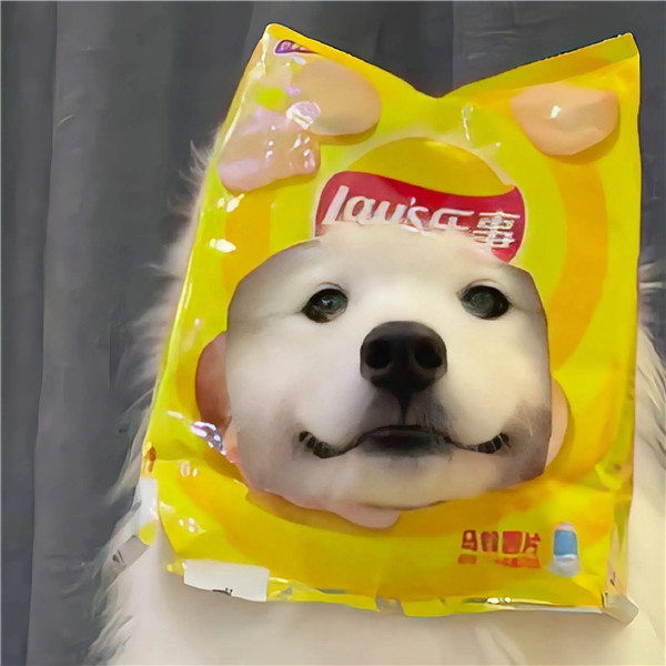 搞怪逗趣头像图片