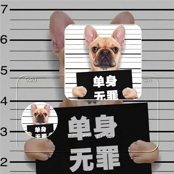 合法且有病的头像图片