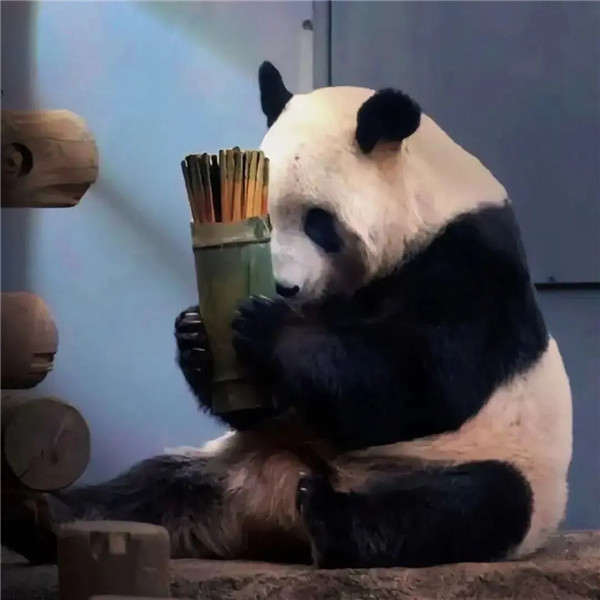 合法且有病的头像图片