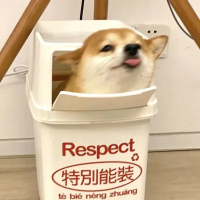 可爱好看又高级的头像萌宠图片